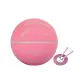 Basketball+Steel Wire Jump Rope Pink