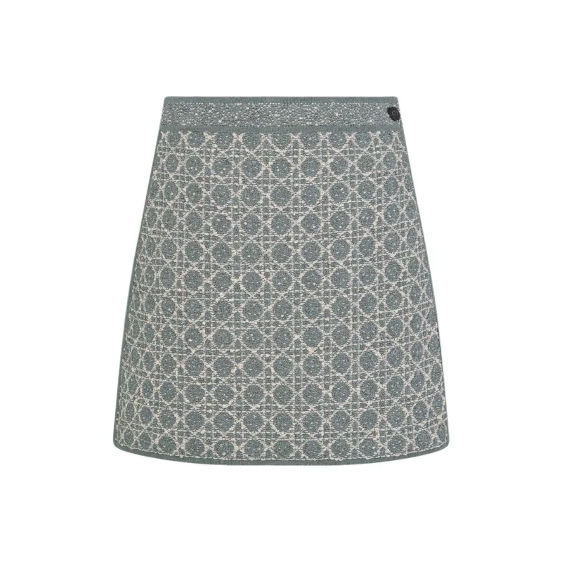 DIOR SS25 Casual Short Skirts Women's Gray-0