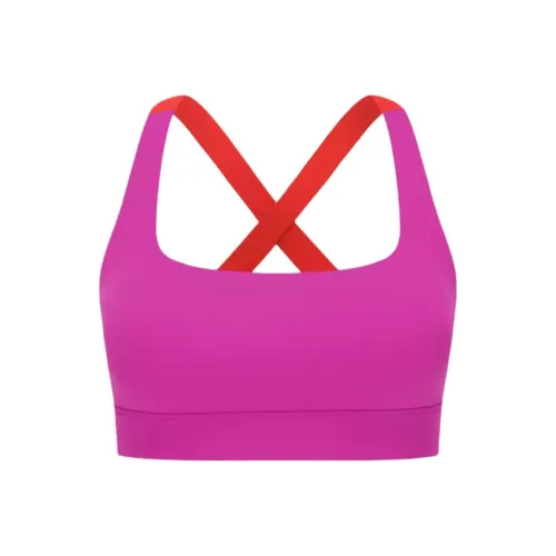 Particle Fever Sports Underwear Women's Divided Rose