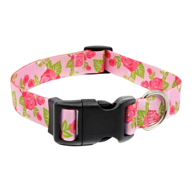 BRU NA BOINNE Dog / Cat Collars-15