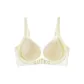 Champagne White[Cooling Antibacterial, Technology Renewal]