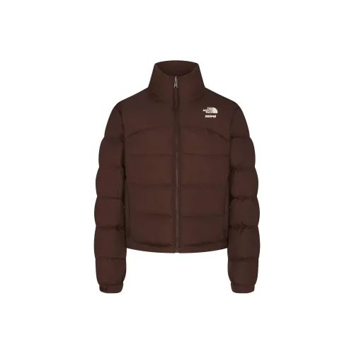 THE NORTH FACE X Tnf 2000 Retro Nuptse Jacket Cocoa