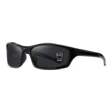 Bright Black Frame with Gray Lens