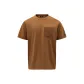Light Umber (Brown Yellow) Color