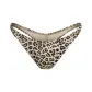 CHAMPAGNE LEOPARD PRINT/Champagne Leopard Print
