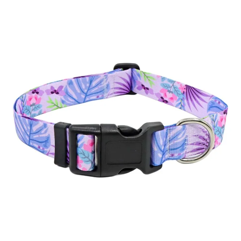 BRU NA BOINNE Dog / Cat Collars-10