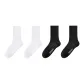 [Sports-Terry Sole]White 2+Black 2