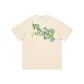 Light Beige Apricot