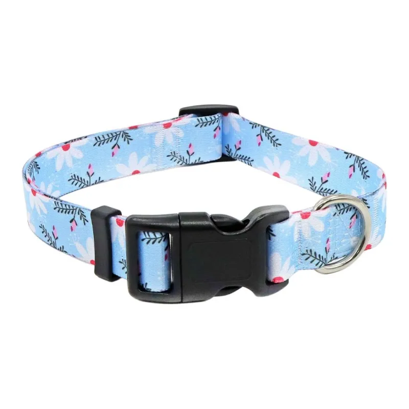 BRU NA BOINNE Dog / Cat Collars-11