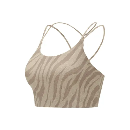 Particle Fever Sports Underwear Women's Espresso Maker Zebra Print