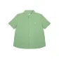 Apple Green