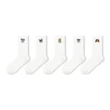 Wang Wang Team-5 Pack[10A Antibacterial Odor-Resistant]