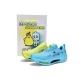 Rock Sugar Snow Pear Box