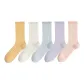 5 Pack (Milk White+Yellow+Blue+Purple+Pink)