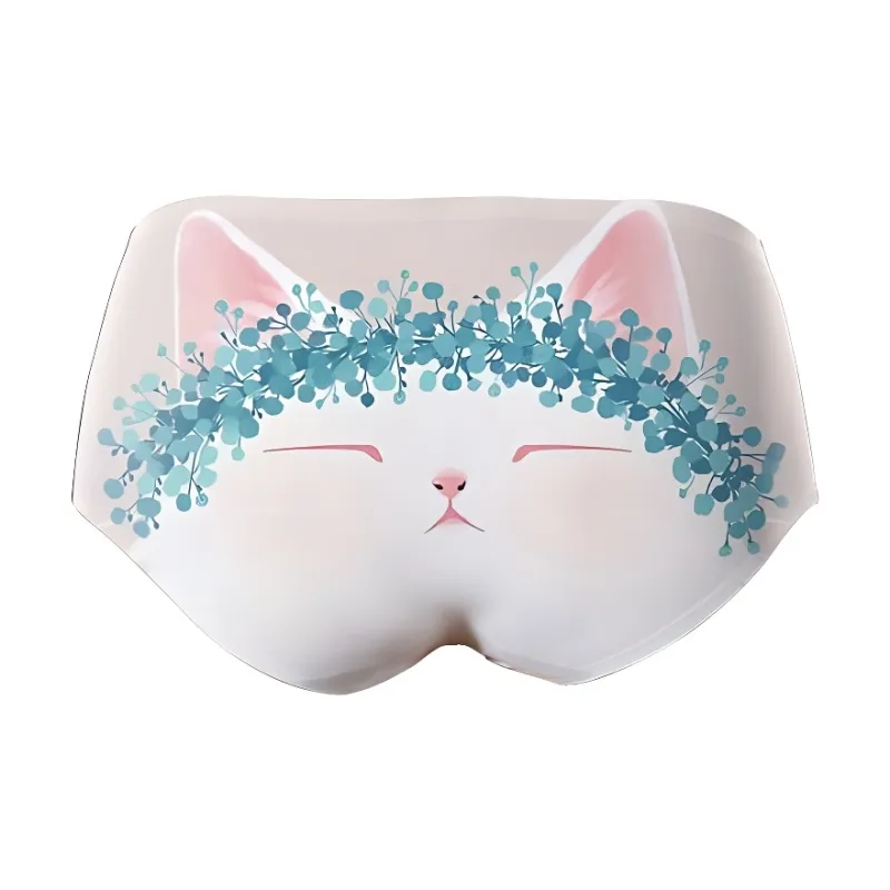 ROBINHOOD Underpants Women's 1 Pack-1