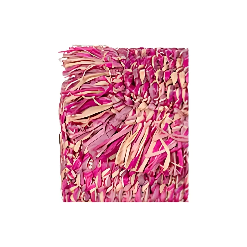 Vanessa Bruno Raffia Shoulder Bag Extra Mini Women's Pink-1