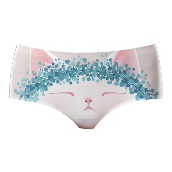 ROBINHOOD Underpants Women's 1 Pack