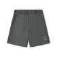 Smoky Gray/013P
