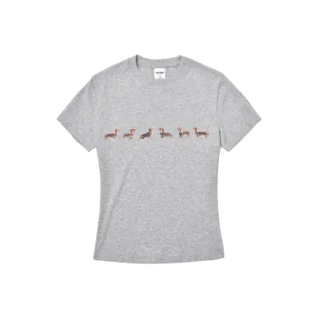 DESSUU Set in Sleeve T Shirt Women's