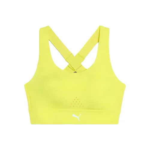 Tênis DC Shoes Court Graffik TX Masculin