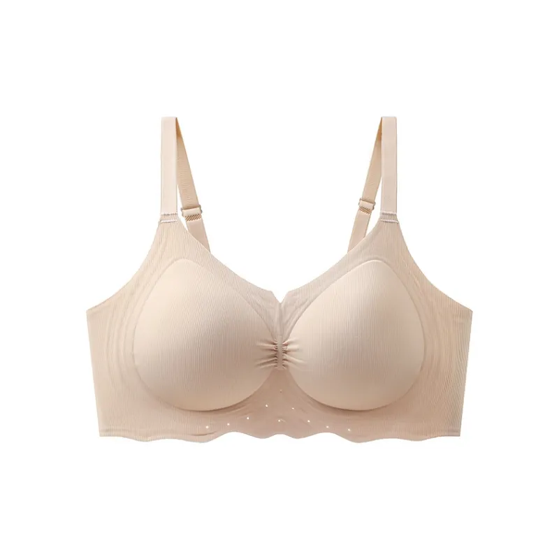 GRACEWELL Bra Women's Combo Set-10