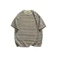 Khaki Stripes