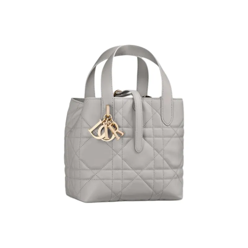 DIOR Toujours Calfskin One Shoulder Handbag Trumpets Women's Gray-1