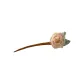 Champagne Hairpin