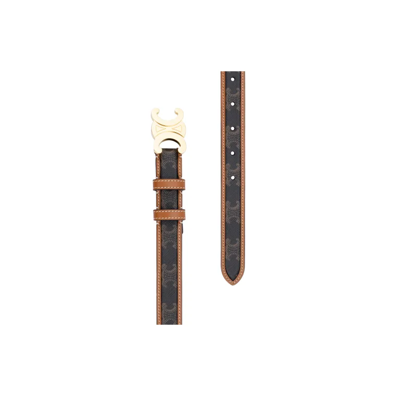 CELINE Medium Triomphe Belt In Triomphe Canvas And Calfskin-2