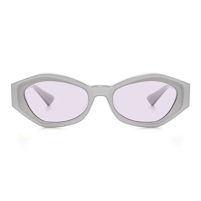 THE OWNER Plate Frame Irregular Shape Sunglasses Unisex-23