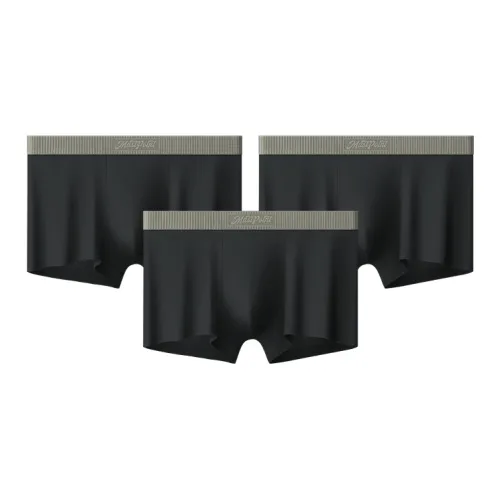 Mast Point Underpants Men's Gift Box Set