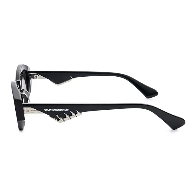 THE OWNER Plate Frame Irregular Shape Sunglasses Unisex-4