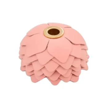 LOEWE Calfskin, Brass Pendants Unisex Pink