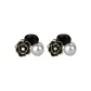 Black Camellia[2 Pack]