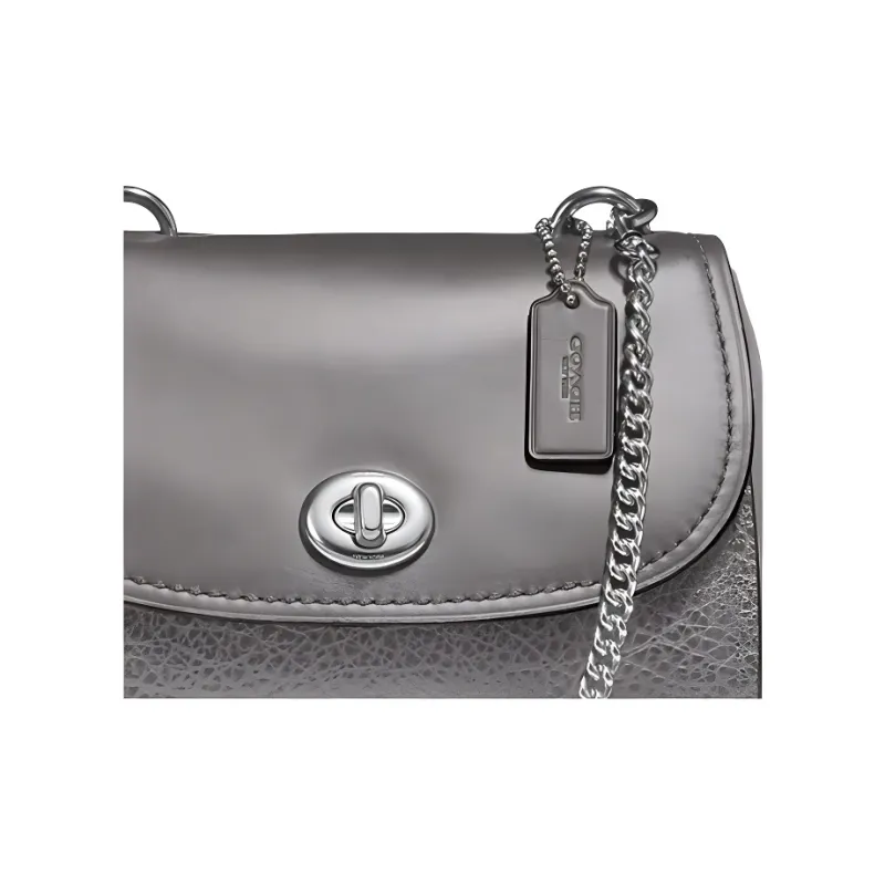 COACH Faye Cow Leather Crossbody Bag Small Size Women's Metal Silver-1