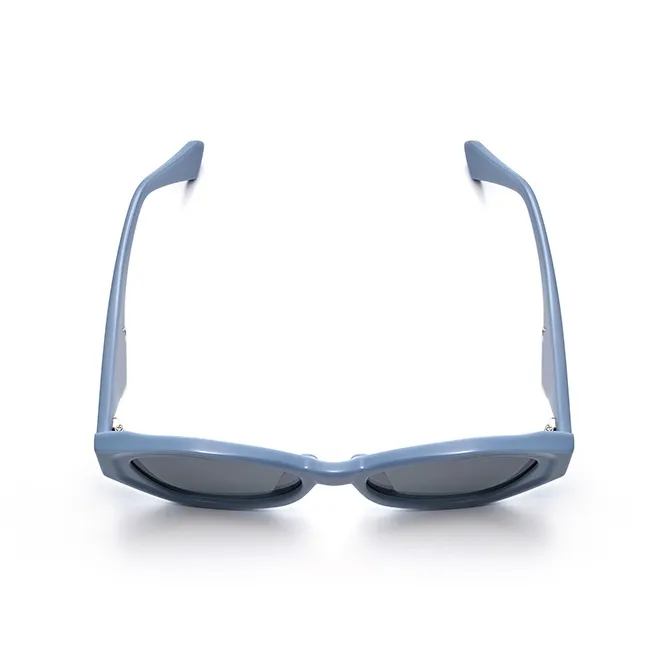 THE OWNER Plate Frame Irregular Shape Sunglasses Unisex-10