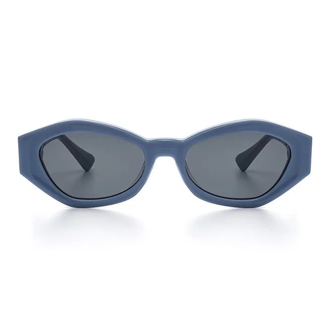 THE OWNER Plate Frame Irregular Shape Sunglasses Unisex-11