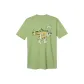 Avocado Green