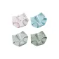 Red Flower+Lake Blue+Light Gray+Light Green