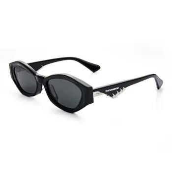 THE OWNER Plate Frame Irregular Shape Sunglasses Unisex