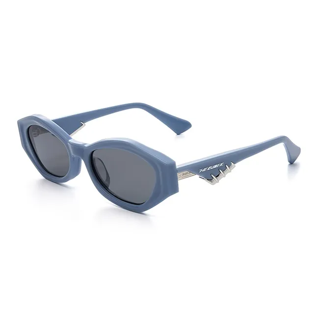 THE OWNER Plate Frame Irregular Shape Sunglasses Unisex-9