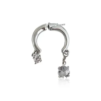 GUDS GAVE Zircon Earrings Unisex