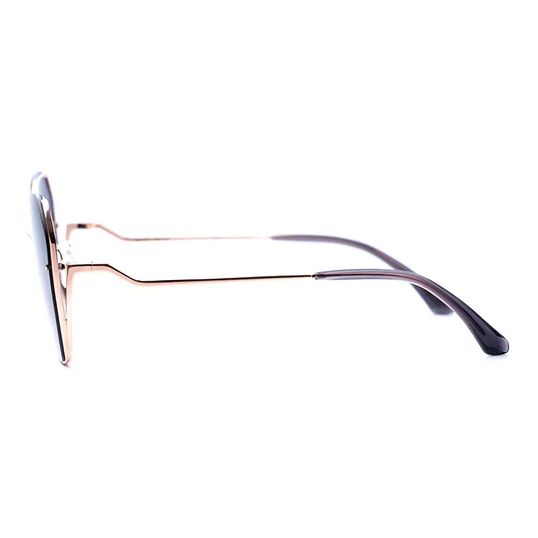 HELEN KELLER Irregular Shape Sunglasses Unisex-3