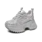 Gray Silver