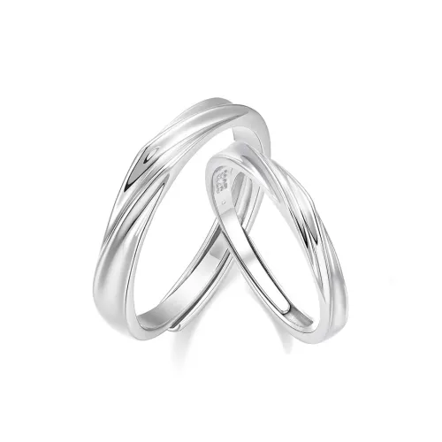Wylyp S925 Silver Rings Unisex Silver white Gift Box