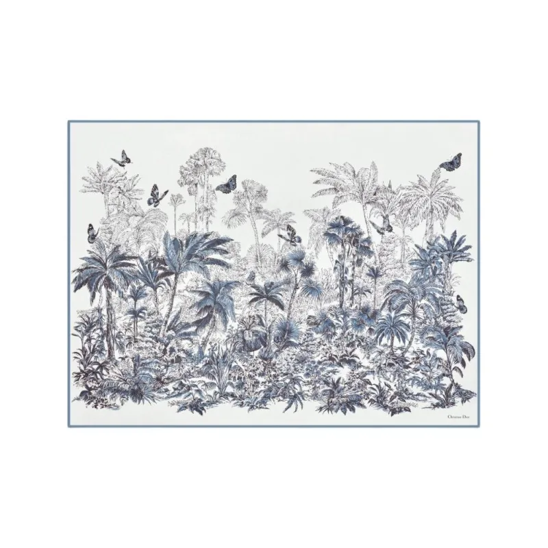 DIOR Cotton Silk Scarves Women's Blue-0