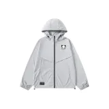 Silver Gray