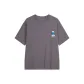 Iron Gray
