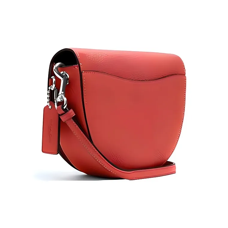 COACH Ellen Leather Saddle Bag, Shoulder Bag, Crossbody Bag Small Size Women's Red-1