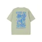 Gray Pea Green